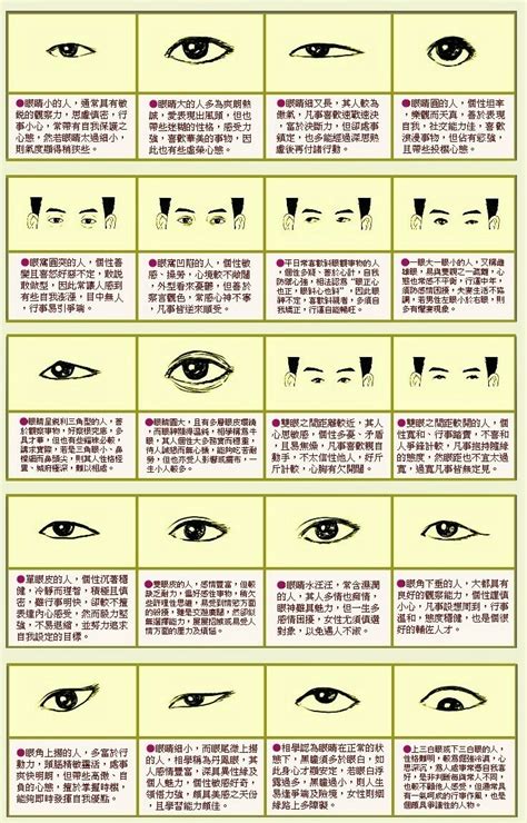 象眼 人相|象眼面相图解